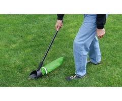 Grab The Professional Dog Poop Scooper Services | free-classifieds-usa.com - 4