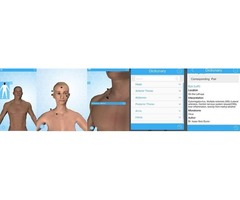 Biomagnetism Therapy - Beyond Biomag 3D | free-classifieds-usa.com - 2
