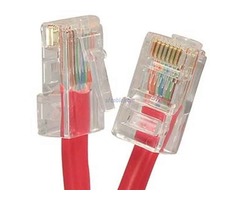 0.5ft Cat 6 Non-Booted Unshielded (UTP) Ethernet Network Cable  | free-classifieds-usa.com - 1