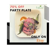 Disposable Party Dinnerware - 70% Offer | free-classifieds-usa.com - 1