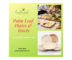 Disposable Areca Palm Leaf Plates and Bowls | free-classifieds-usa.com - 1