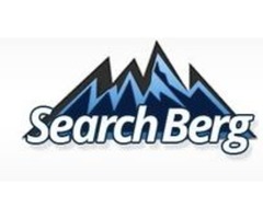 Affordable Backlink Services | Search Berg | free-classifieds-usa.com - 1