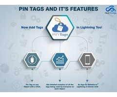 Salesforce PIN TAGS App | free-classifieds-usa.com - 1