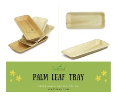 Diposable Palm Leaf Tray - Buy 2 Get 1 Free | free-classifieds-usa.com - 1