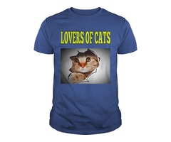 Cats Lovers | free-classifieds-usa.com - 1