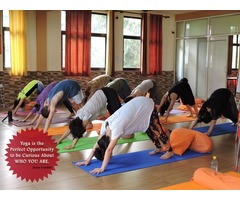 Carve the Path of Teaching Yoga with 200 Hours TTC in Rishikesh | free-classifieds-usa.com - 2