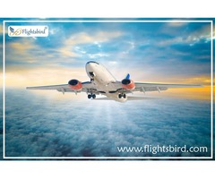 Is It Possible To Book Cheap Flight Tickets from JFK to Anywhere? | free-classifieds-usa.com - 2