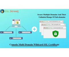 Secure Multiple Domains And Their Unlimited Range Of Sub-domains | free-classifieds-usa.com - 1