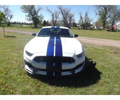 2016 Ford Mustang Shelby GT350 Coupe 2-Door | free-classifieds-usa.com - 1