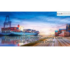 Download updated report of Sleeping Bag Ethiopia Import Data | free-classifieds-usa.com - 1
