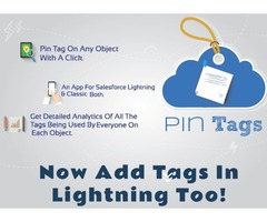 Salesforce CloudAnalogy Pin Tags App | free-classifieds-usa.com - 1