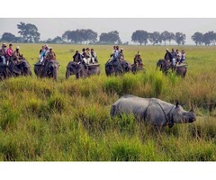 Get 5 Percent Off on India Wildlife Tour Package | free-classifieds-usa.com - 2