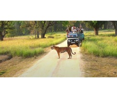 Get 5 Percent Off on India Wildlife Tour Package | free-classifieds-usa.com - 4