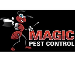 pest control in phoenix az,scorpion pest control | free-classifieds-usa.com - 2