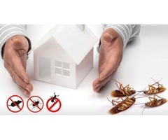 pest control in phoenix az,scorpion pest control | free-classifieds-usa.com - 3