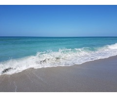 On the  Beach of Longboat Key FL  is Turtle Crawl Inn  | free-classifieds-usa.com - 3