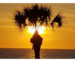 On the  Beach of Longboat Key FL  is Turtle Crawl Inn  | free-classifieds-usa.com - 4