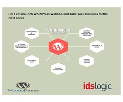 Get Feature-Rich WordPress Website and Take Your Business to the Next Level | free-classifieds-usa.com - 1
