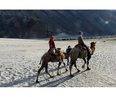Camel Safari In Nubra Valley Ladakh India | free-classifieds-usa.com - 3