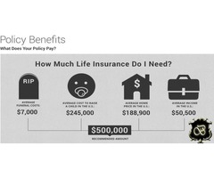 Life Insurance Services | free-classifieds-usa.com - 4