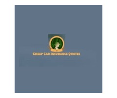 Creative Cheap Car Insurance Buffalo NY | free-classifieds-usa.com - 1