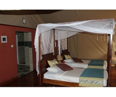 Find Kenya Luxury Tours and Safaris At Best Camping Tours & Safaris | free-classifieds-usa.com - 2
