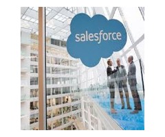 Salesforce Netherlands Gives You Trusted Advice And Salesforce Solutions | free-classifieds-usa.com - 1