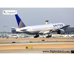 Get Amazing Deals On your Cheap Flight Tickets With Flightsbird. | free-classifieds-usa.com - 1