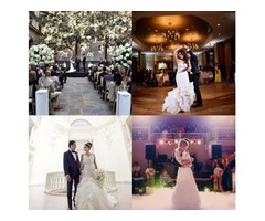 Professional Wedding Photographers/Videographers | free-classifieds-usa.com - 3