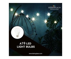Buy A19 LED Bulb and Replace Old Fluorescent Bulb | free-classifieds-usa.com - 1