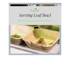 Leaftrend Compostable Dinnerware | free-classifieds-usa.com - 1