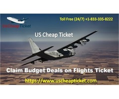 Stay at Ease and Book Cheap Flights to West Palm Beach | free-classifieds-usa.com - 1