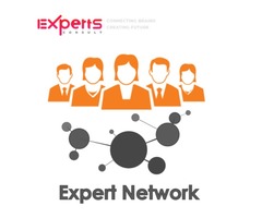 Industry Expert services|connect to world  wide expert network|expertsconsult | free-classifieds-usa.com - 1