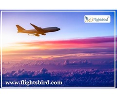 Book Cheap Flights from Chicago to Denver With Flightsbird and Save upto $150 OFF | free-classifieds-usa.com - 1