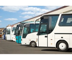 Night Tour Bus Service | free-classifieds-usa.com - 1