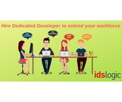Hire Dedicated Developer to extend your workforce | free-classifieds-usa.com - 1