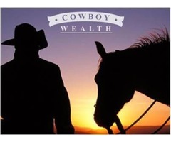 Cowboy Wealth - Work from Home and Love It! | free-classifieds-usa.com - 1