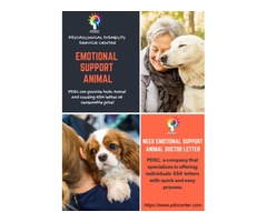 Emotional Support Animal Letter | free-classifieds-usa.com - 1