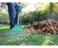 commercial lawn care companies | free-classifieds-usa.com - 2