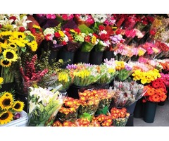 Let Flowers Pep-Up Your Décor | free-classifieds-usa.com - 1