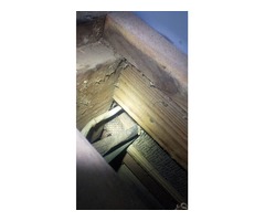 Done Right Rodent Proofing | free-classifieds-usa.com - 1