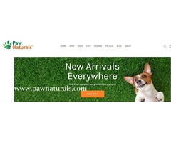 Best Natural Cat Food Chicago Is Available On The Leading Store | free-classifieds-usa.com - 2