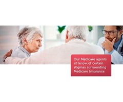Signature Senior Solutions | free-classifieds-usa.com - 4