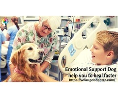 Register Emotional Support Dog | free-classifieds-usa.com - 1