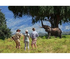 Fun-filled activities at the Victoria Falls | free-classifieds-usa.com - 1