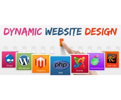 Get Dynamic and Responsive Websites for the Expansion of Online Business | free-classifieds-usa.com - 1