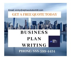 BUSINESS PLAN WRITING SERVICE FOR START-UP FUNDING | free-classifieds-usa.com - 3