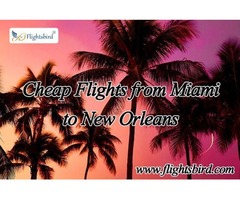 MIA to MSY Flights Starting from $165 at Flightsbird | free-classifieds-usa.com - 1
