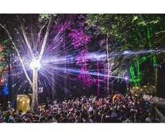 Best Music Festival Coverage - Noisily Festival | free-classifieds-usa.com - 2