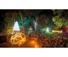 Best Music Festival Coverage - Noisily Festival | free-classifieds-usa.com - 3